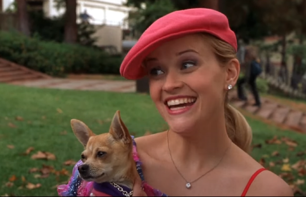 Screenshot from the movie - Legally Blonde (2001)