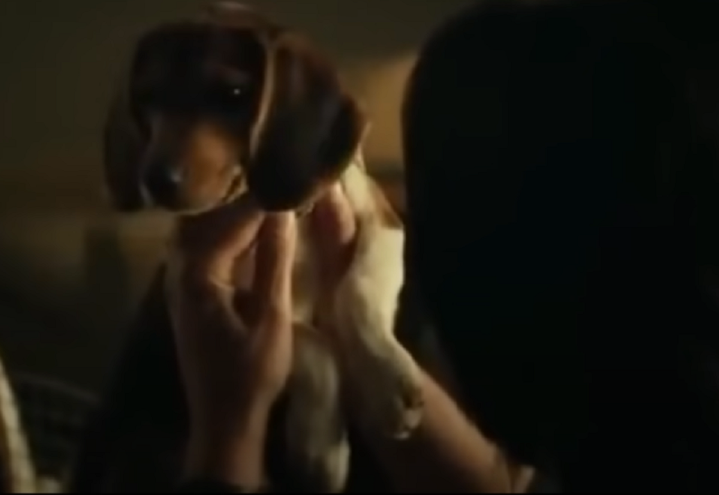 Screenshot From The Movie - John Wick (2014)