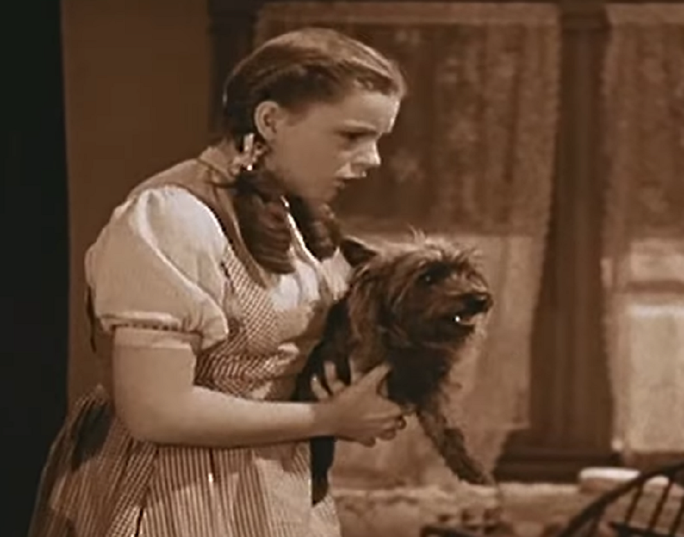 Screenshot from the movie - The Wizard of Oz (1939)