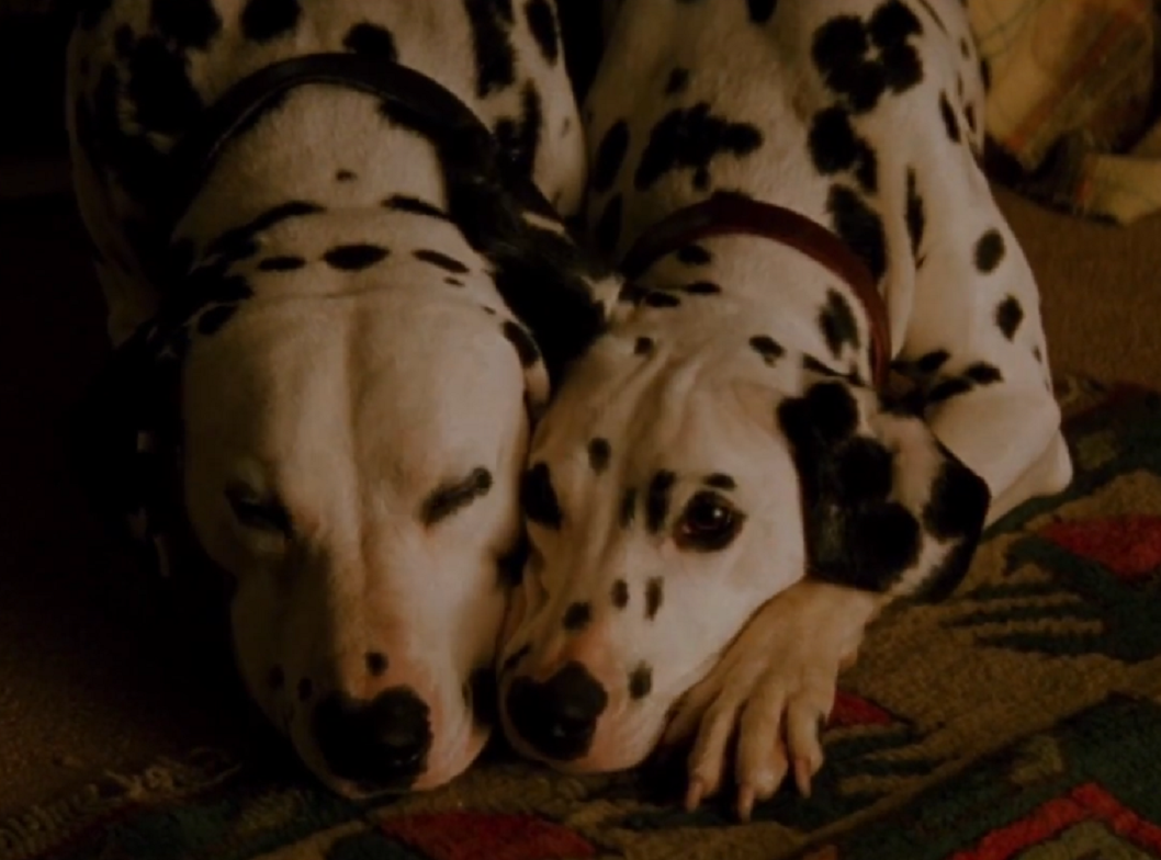 Screenshot from the film 101 Dalmatians (1996)