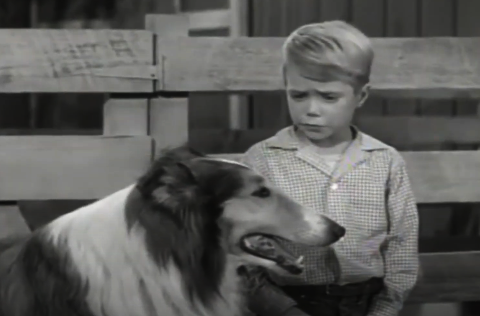Screenshot of the TV Show Lassie