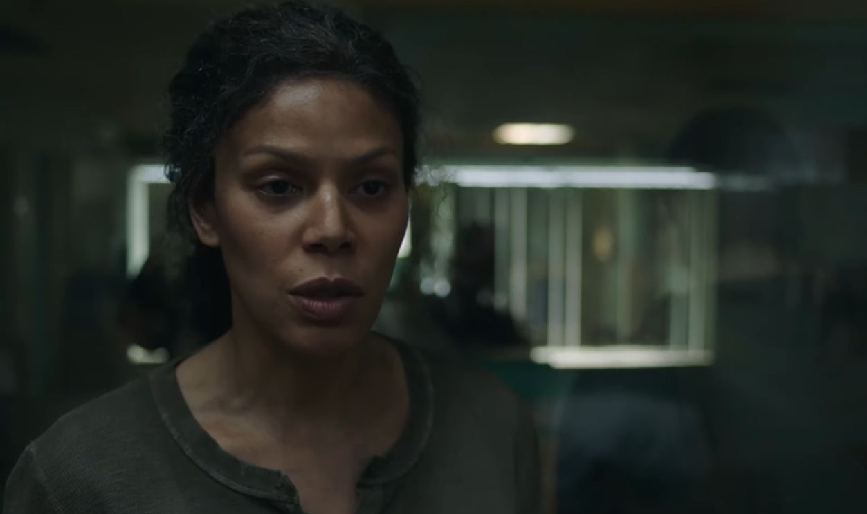 The Fireflies’s Ability To Operate Without A Clear Leadership Structure