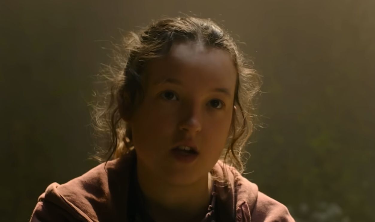 The Lack Of Any Scientific Effort To Study The Infection Further