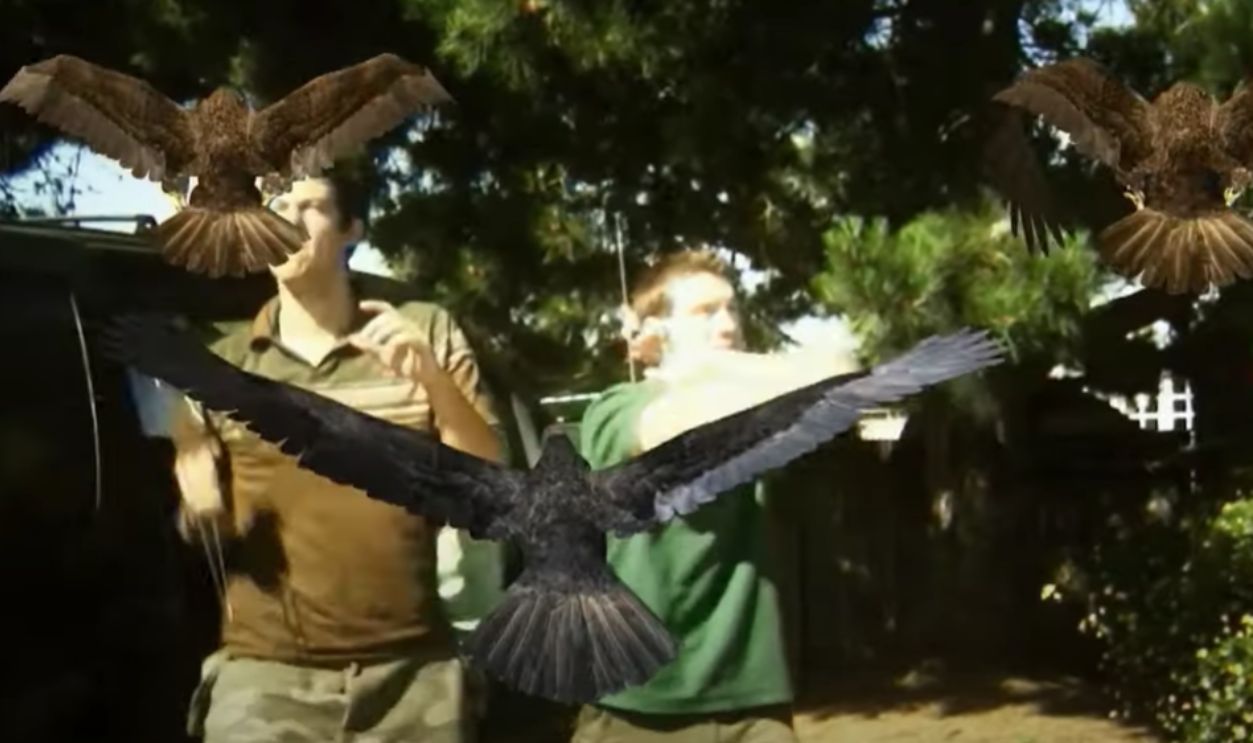 Birdemic: Shock & Terror