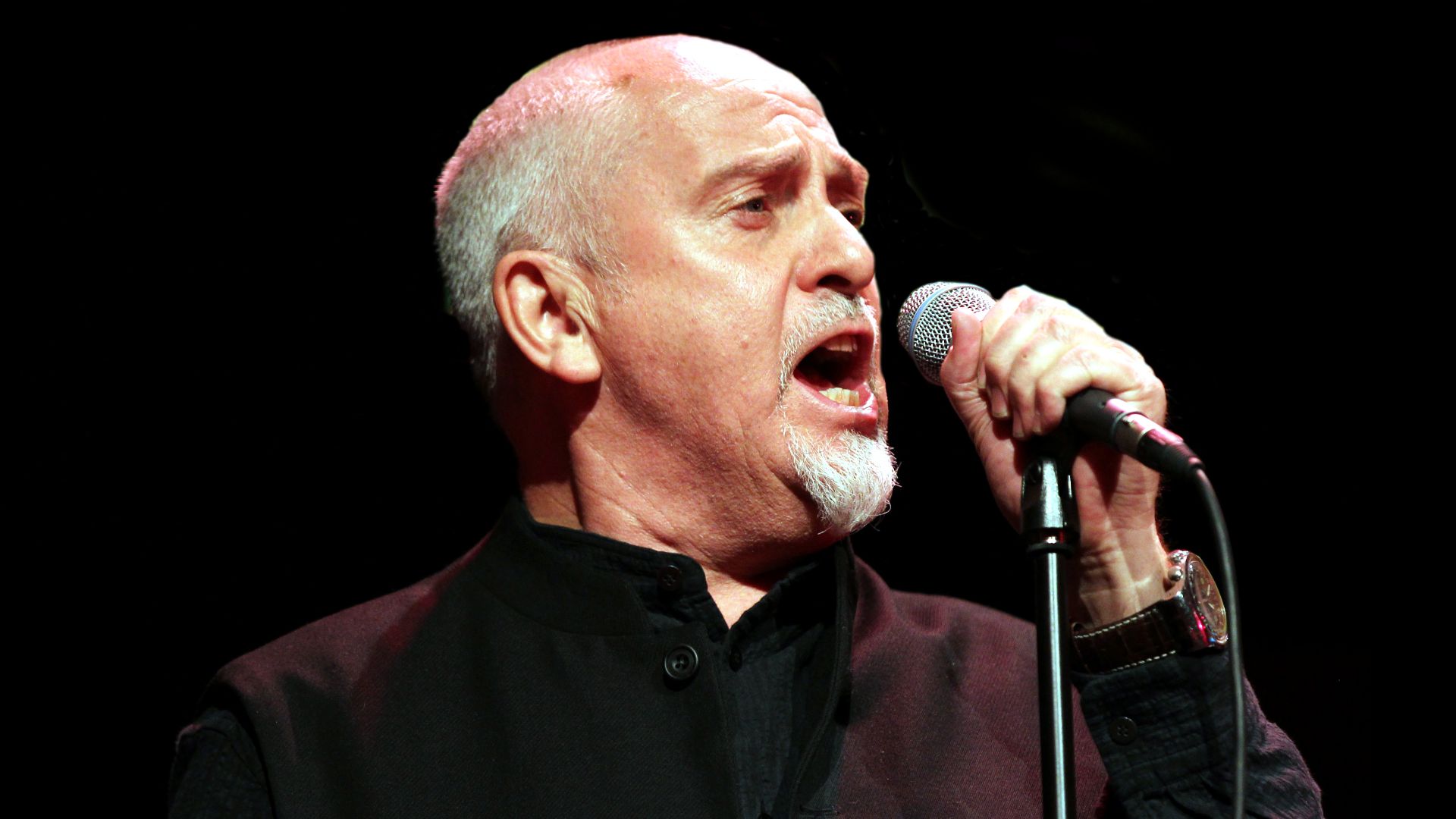 File:Peter-Gabriel-2011.jpg
