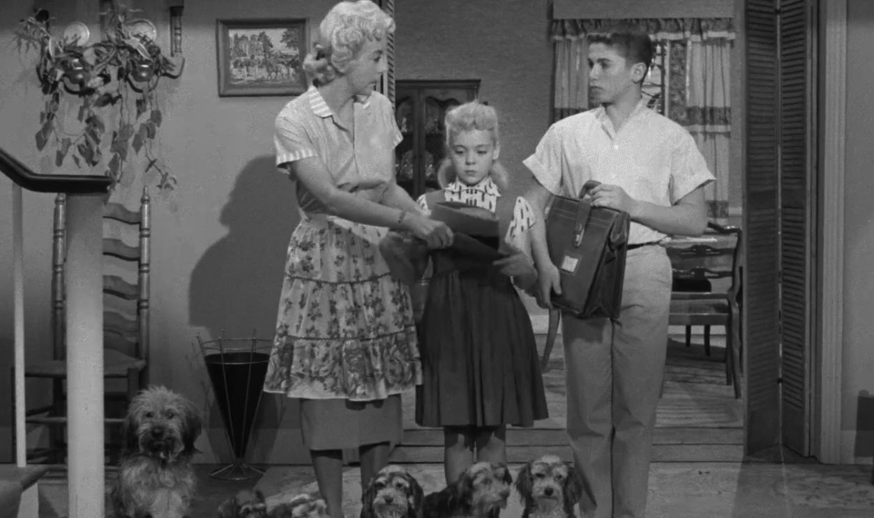 Blondie - 1957 Television Series ClassicFlix Promo