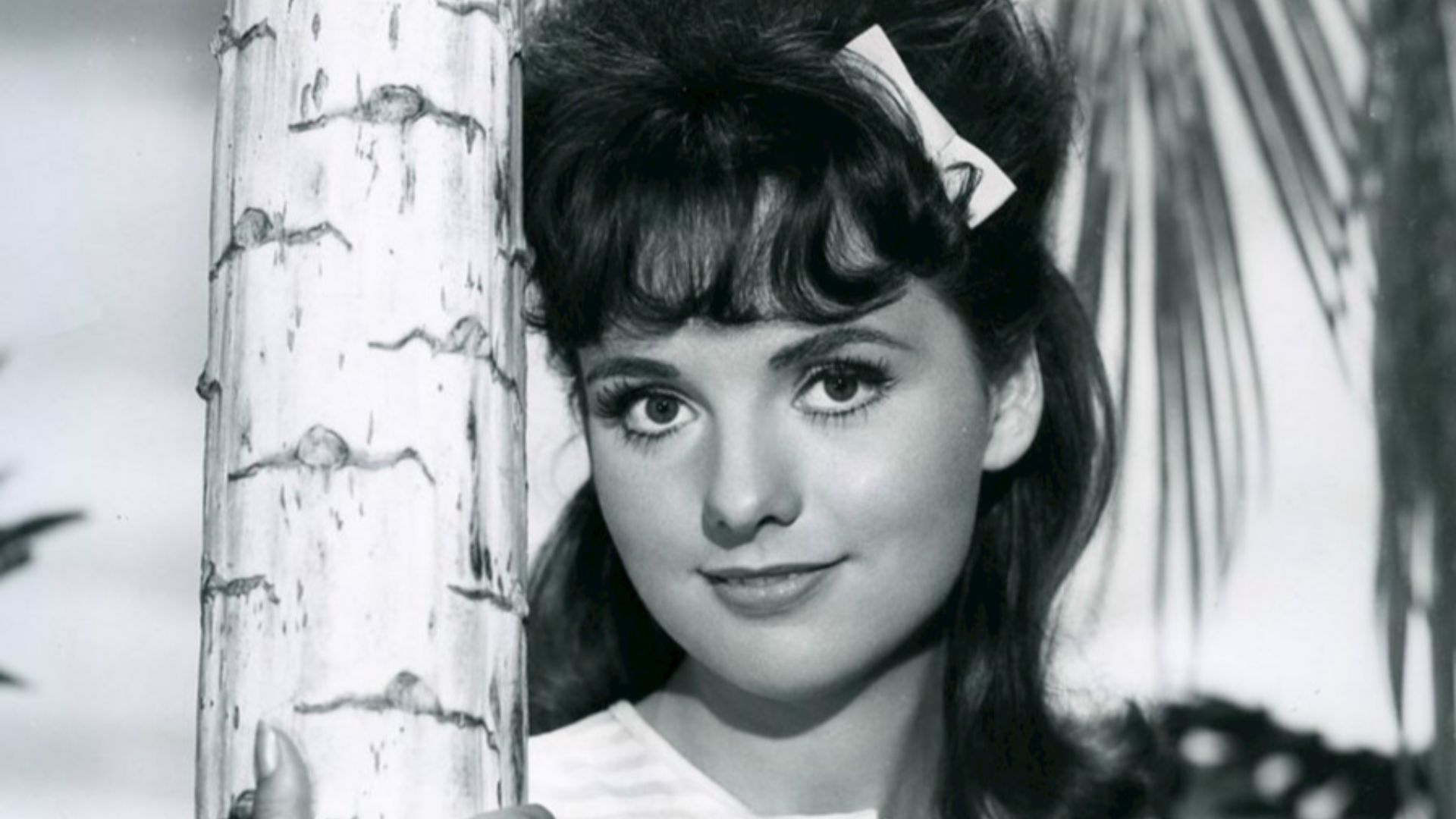 File:Dawn Wells Gilligan's Island 1964.jpg