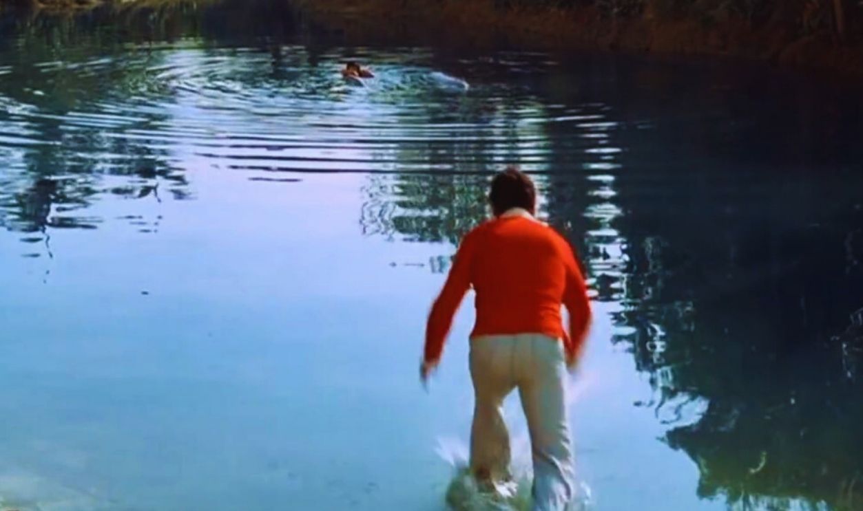 FACT OR FICTION?: Warm Lagoon!--Gilligan's Island!