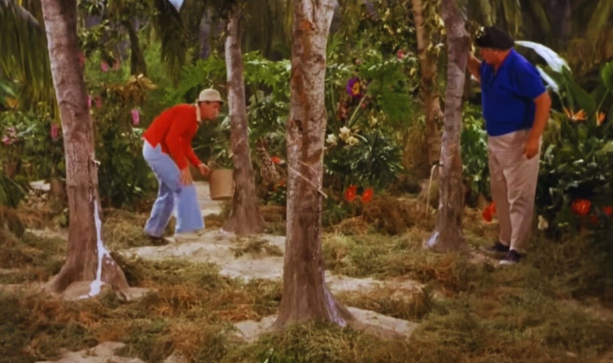 Gilligan's Island