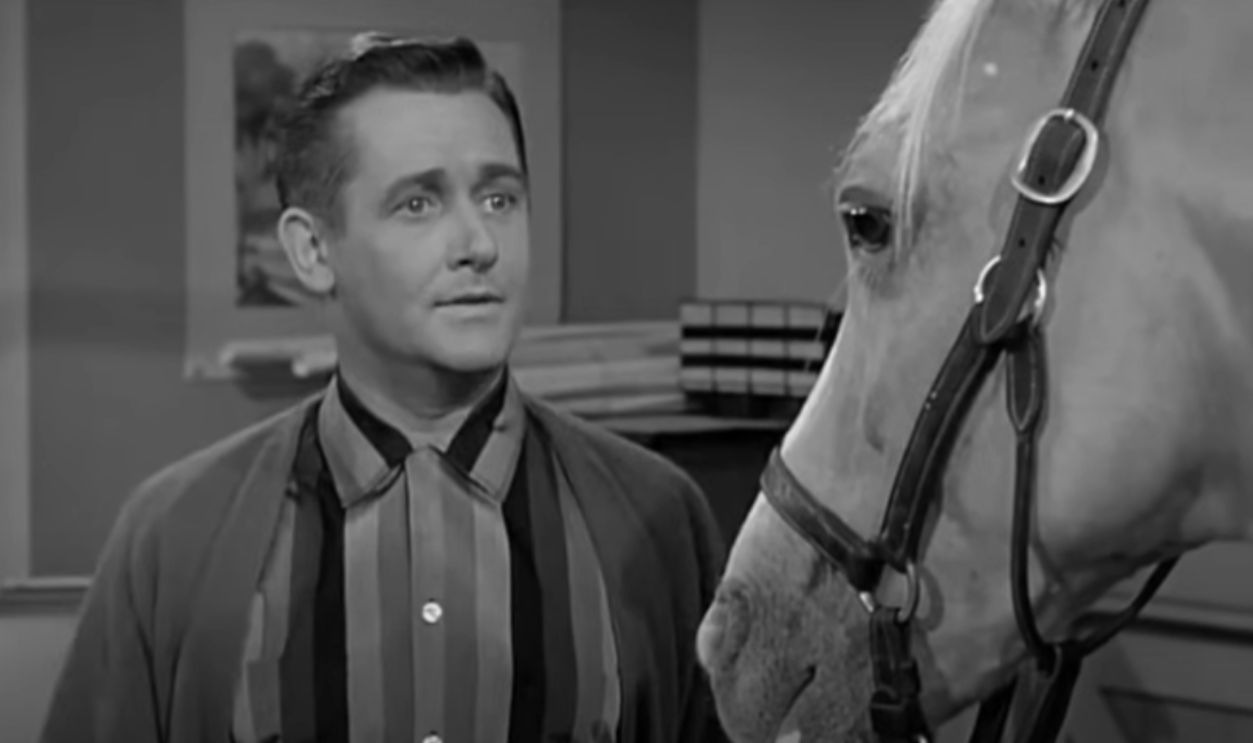 Mister Ed