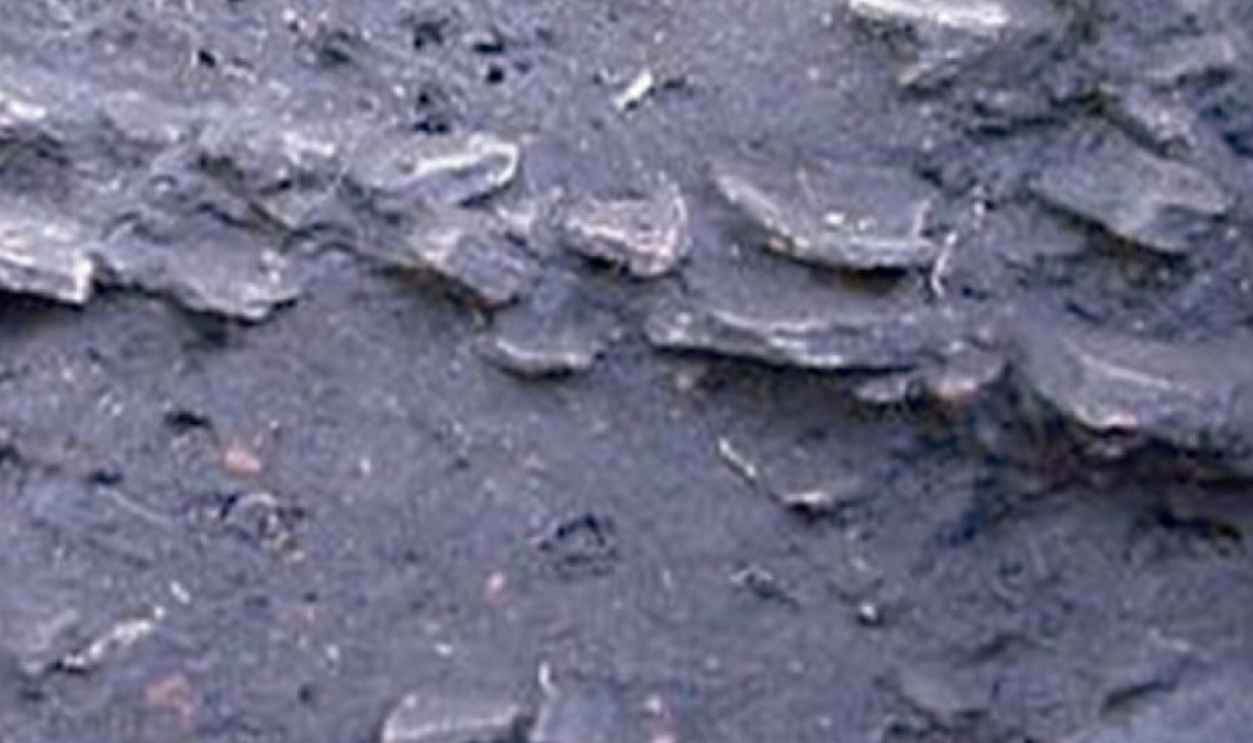 Terra Preta: The Amazon’s Engineered Earth