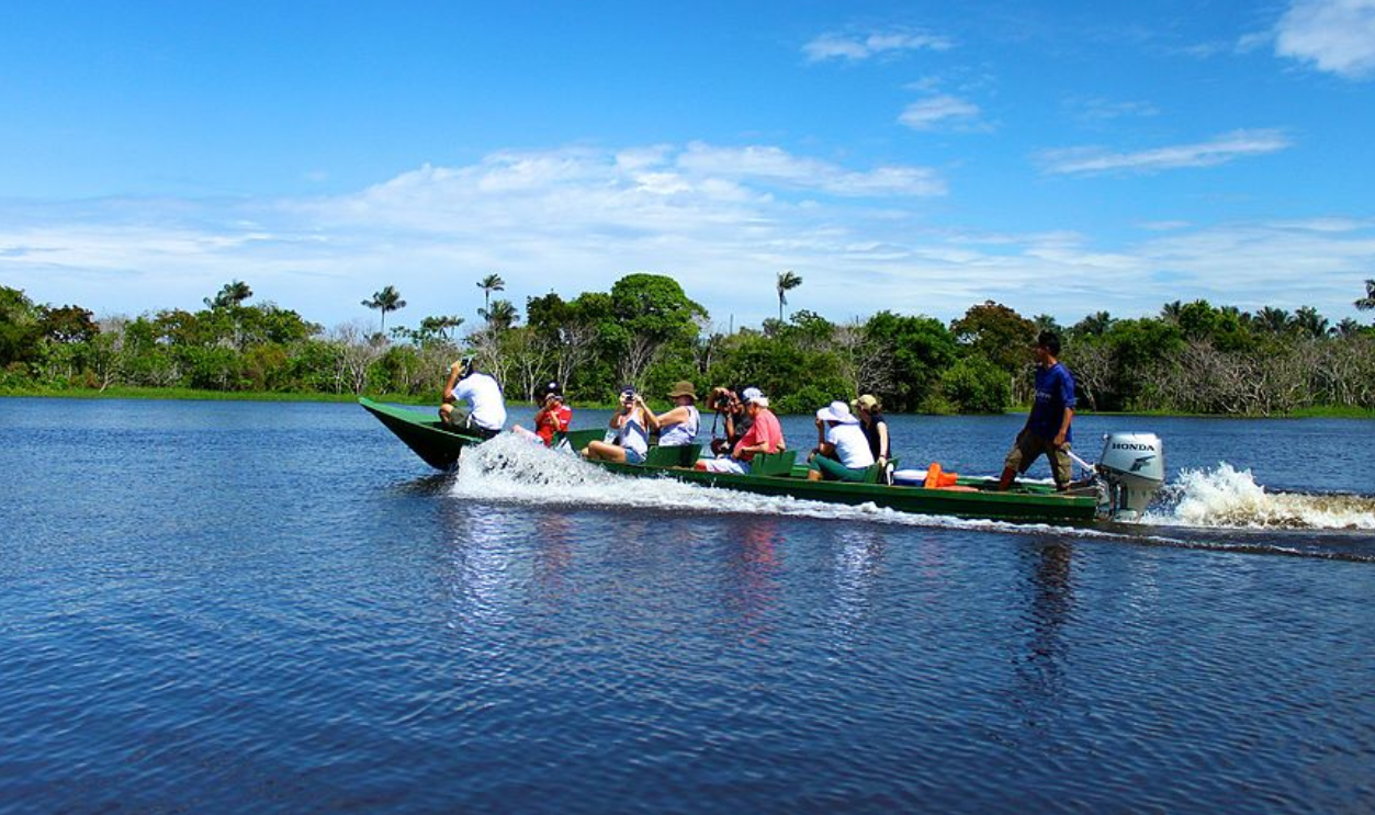 Saving History To Save The Forest