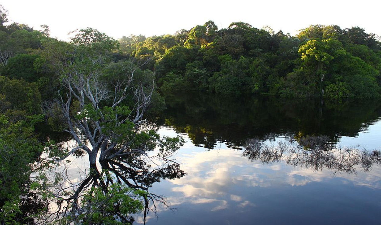 The Amazon’s Greatest Story Still Unfolds