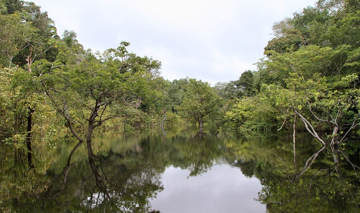 Myths That Painted The Amazon Empty