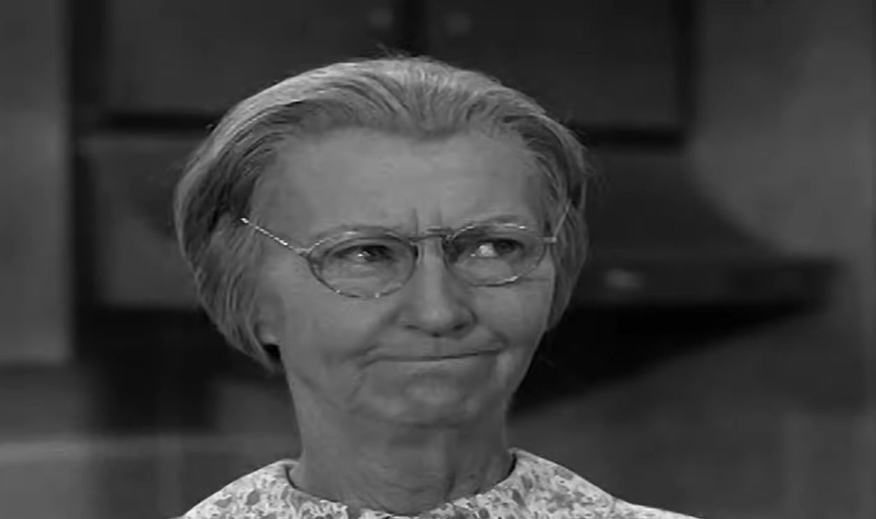 The Beverly Hillbillies 