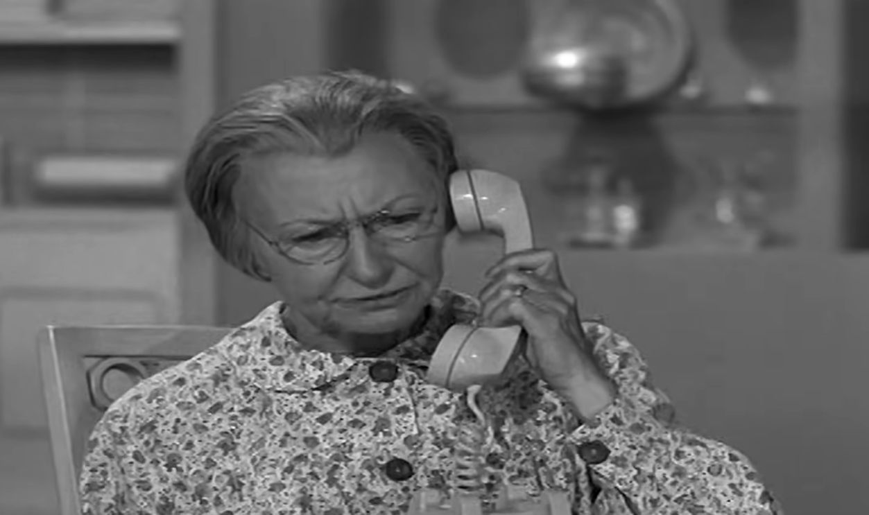 The Beverly Hillbillies 