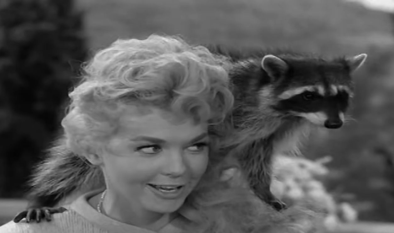 The Beverly Hillbillies 