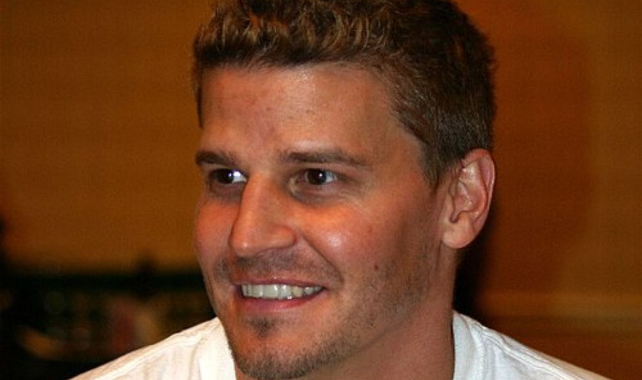 David Boreanaz
