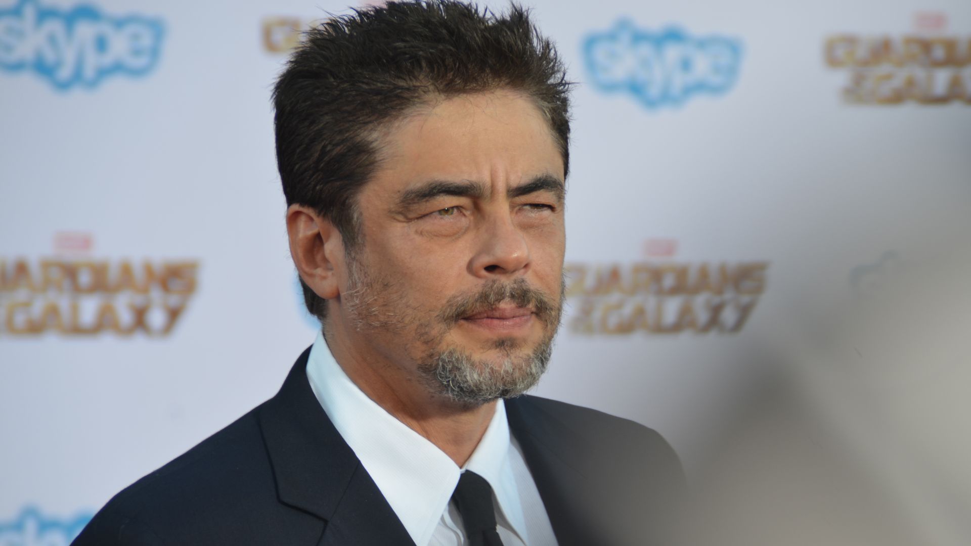 File:Benicio Del Toro - Guardians of the Galaxy premiere - July 2014.jpg