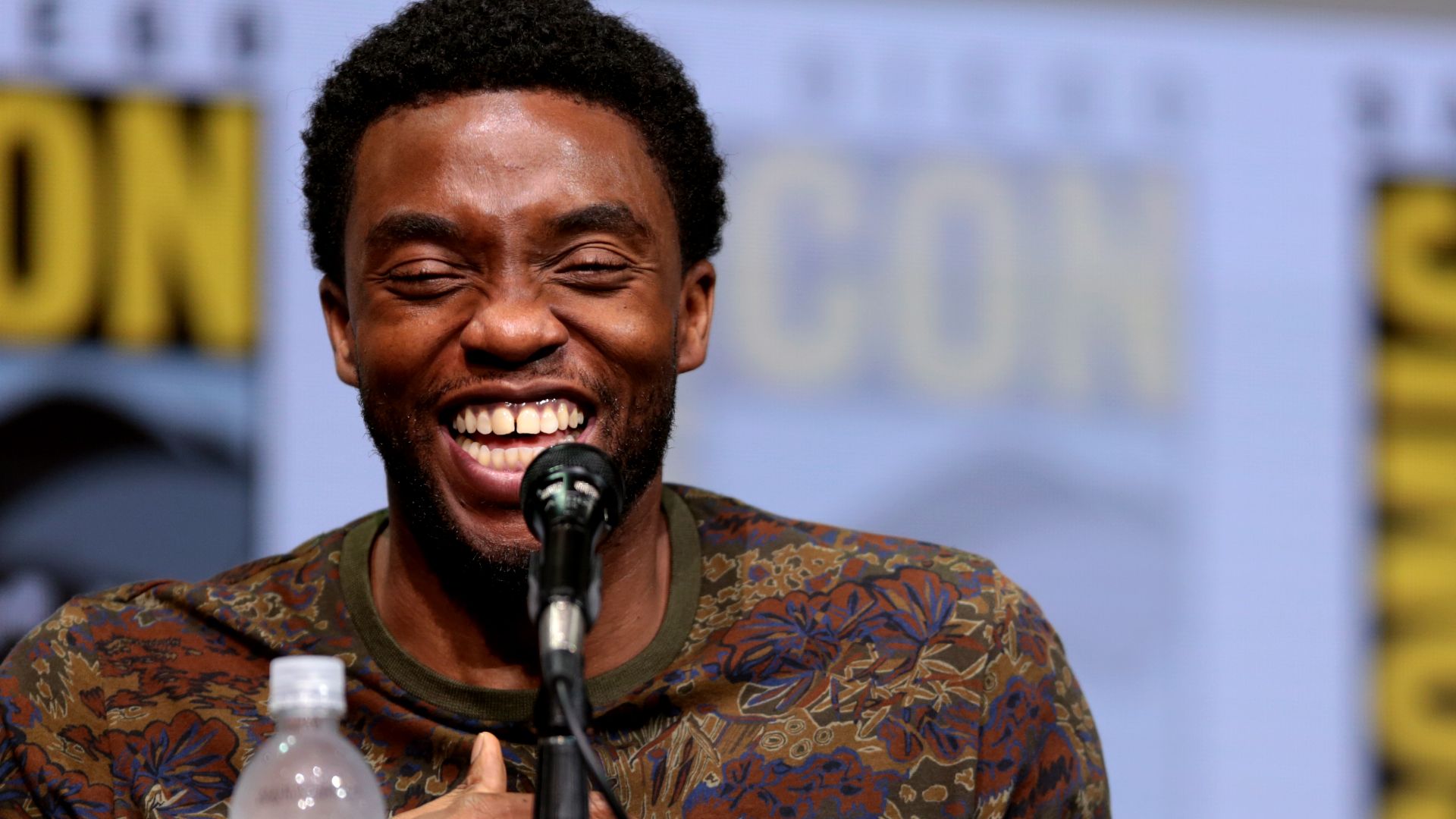 File:Chadwick Boseman & Lupita Nyong'o (35852213610).jpg