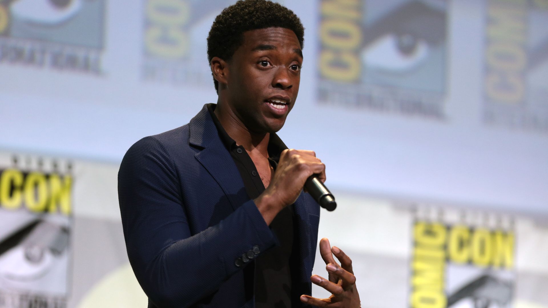 File:Chadwick Boseman (28635126335).jpg