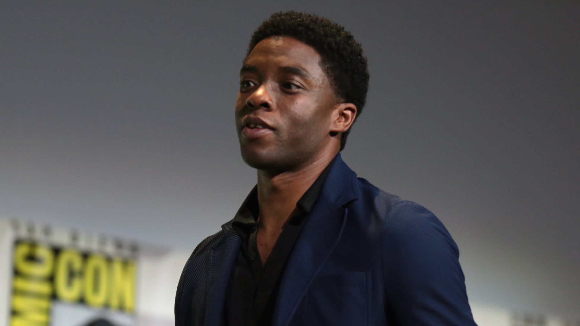File:Chadwick Boseman (28017836164).jpg