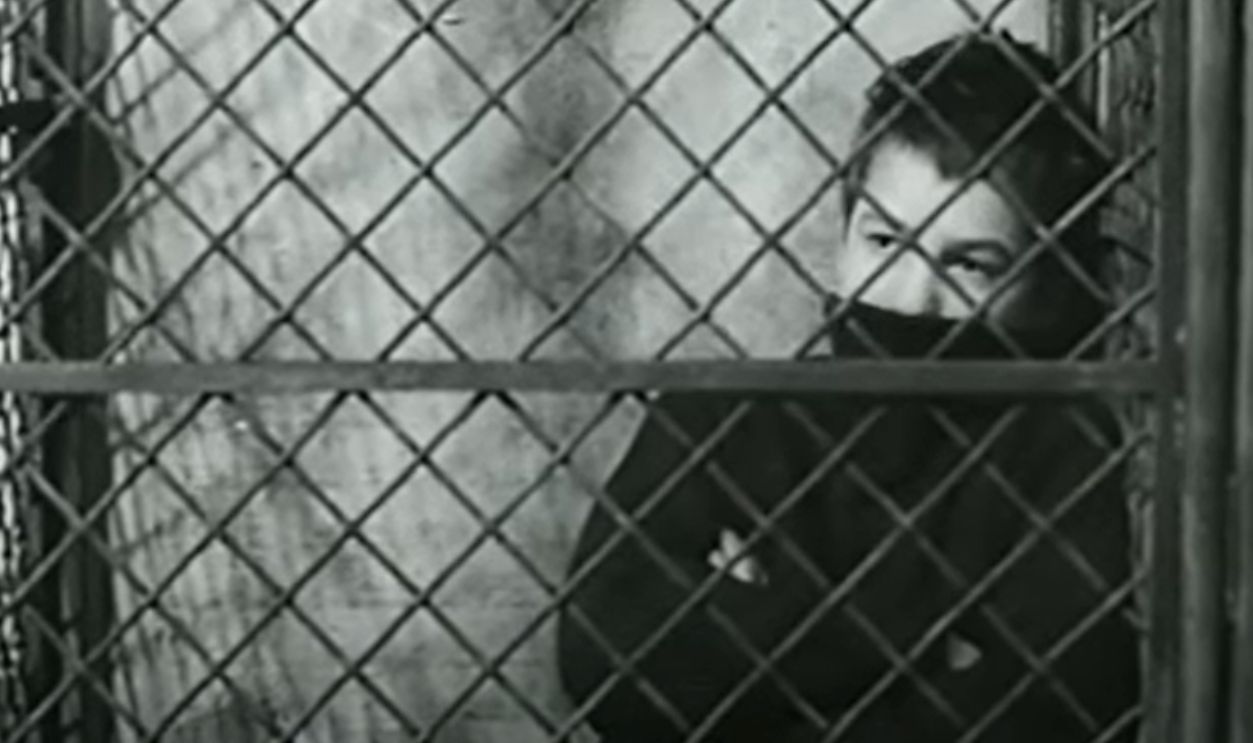 Jules And Jim (Cont.)