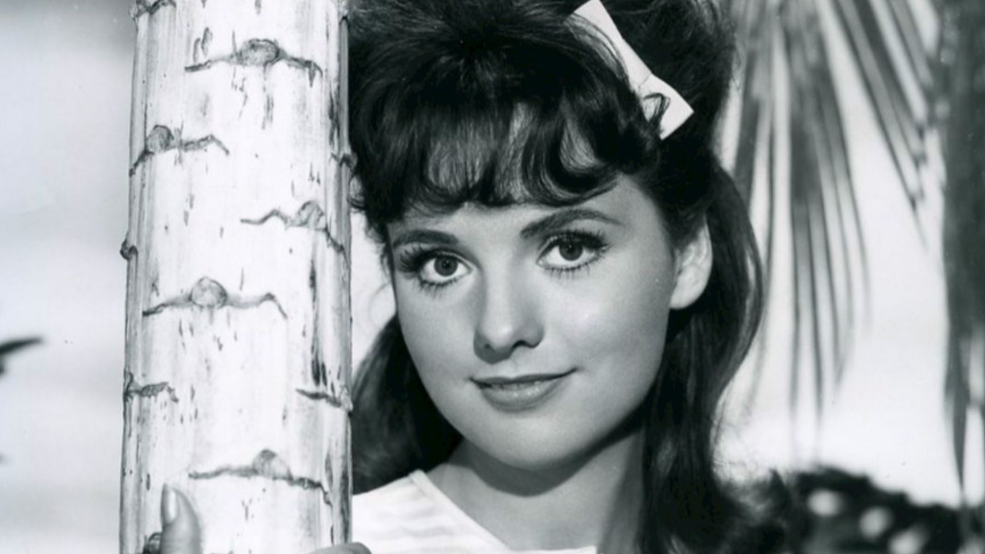 File:Dawn Wells Gilligan's Island 1964.jpg