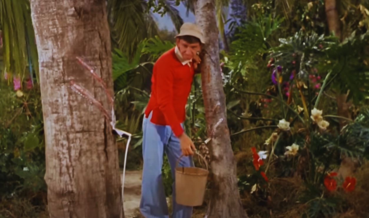 Bob Denver