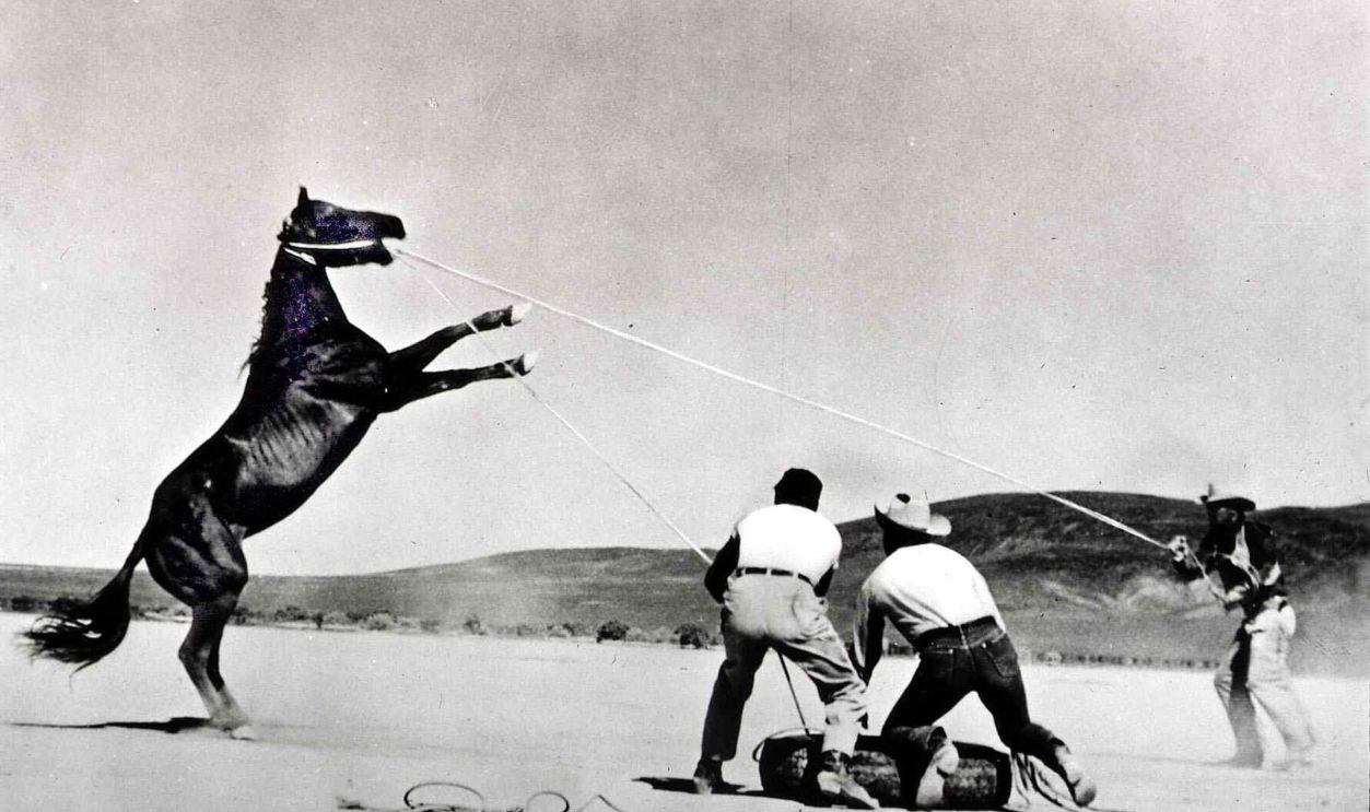 Misfits - Nicht Gesellschaftsfaehig, Misfits, The