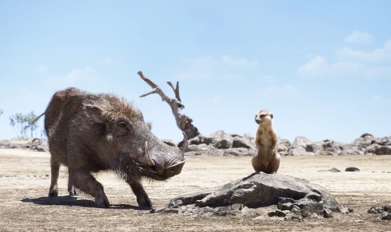 Seth Rogen, The Lion King 