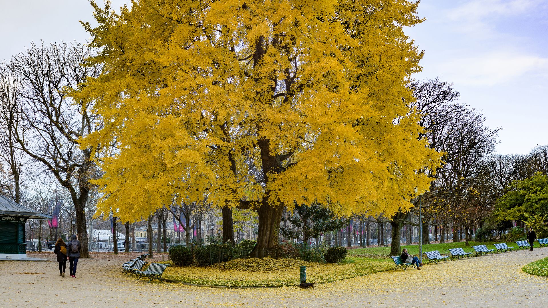 File:Jardins des Champs-Élysées Paris.jpg