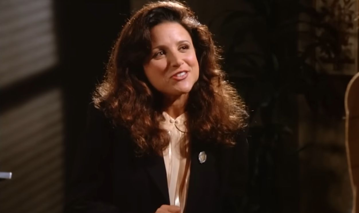 Elaine Benes In Seinfeld 