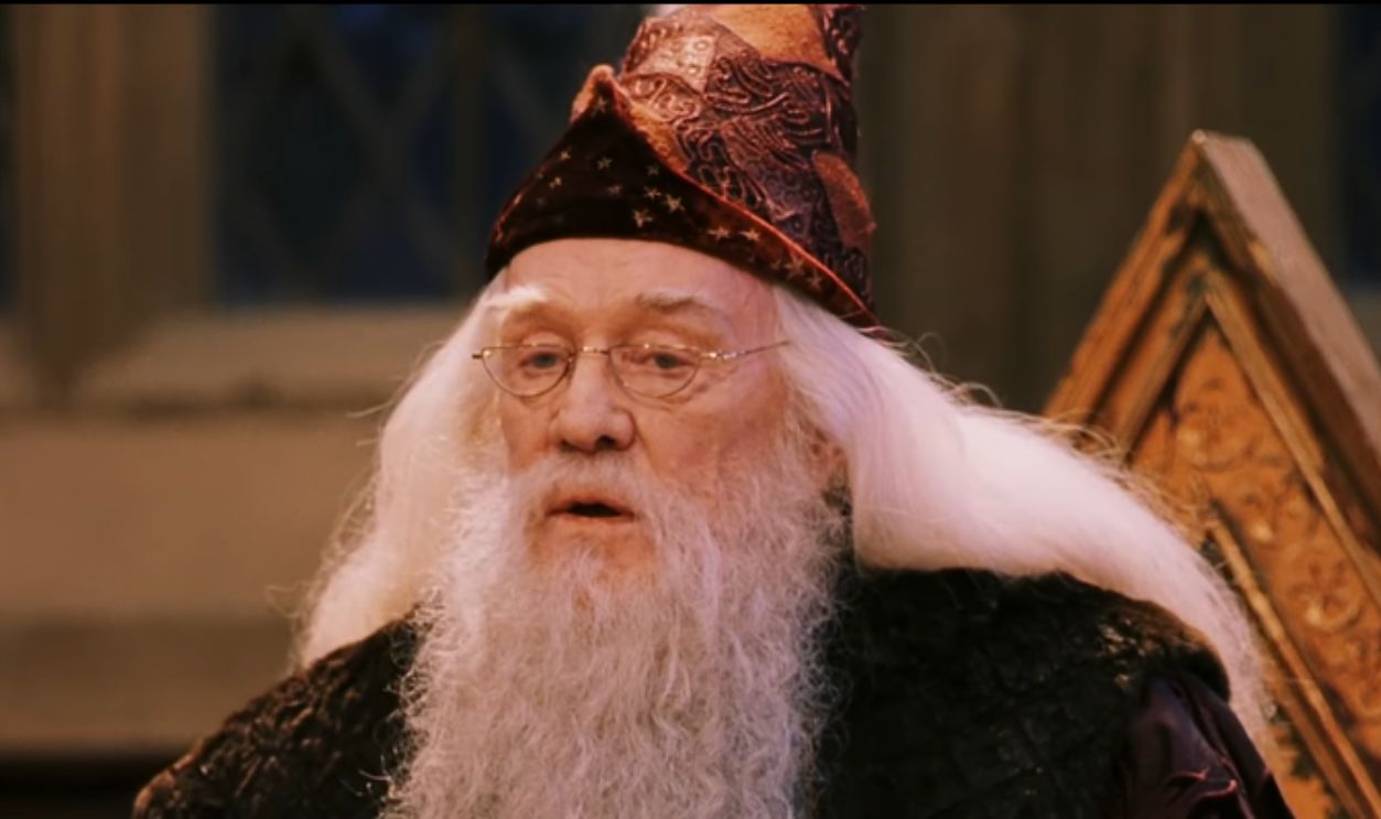 Professor Dumbledore In Harry Potter