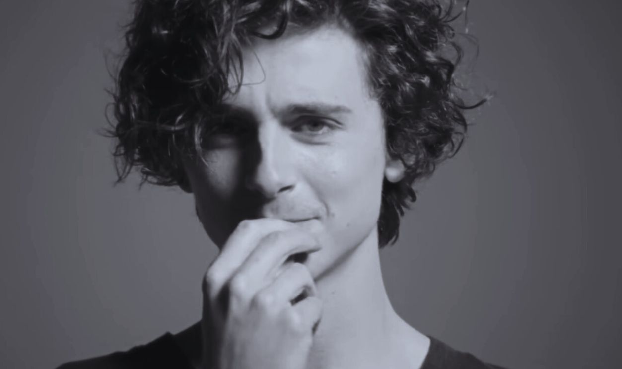 Timothée Chalamet (Chanel Bleu)