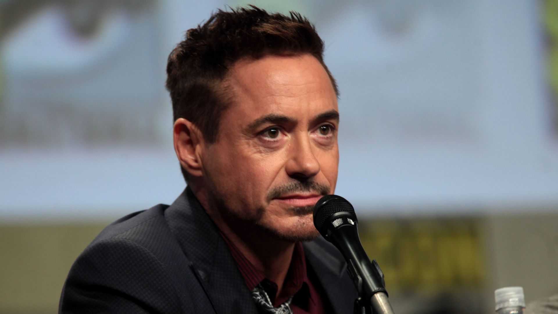File:Robert Downey Jr 2014 Comic Con.jpg