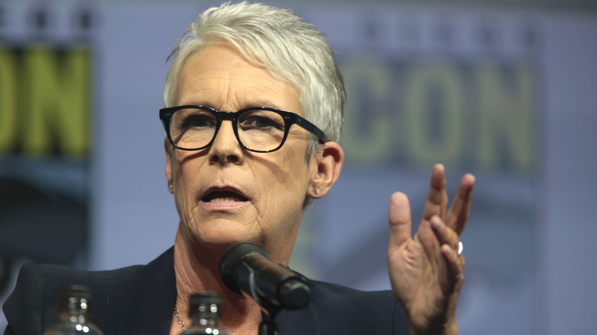 File:Jamie Lee Curtis (42942714104).jpg