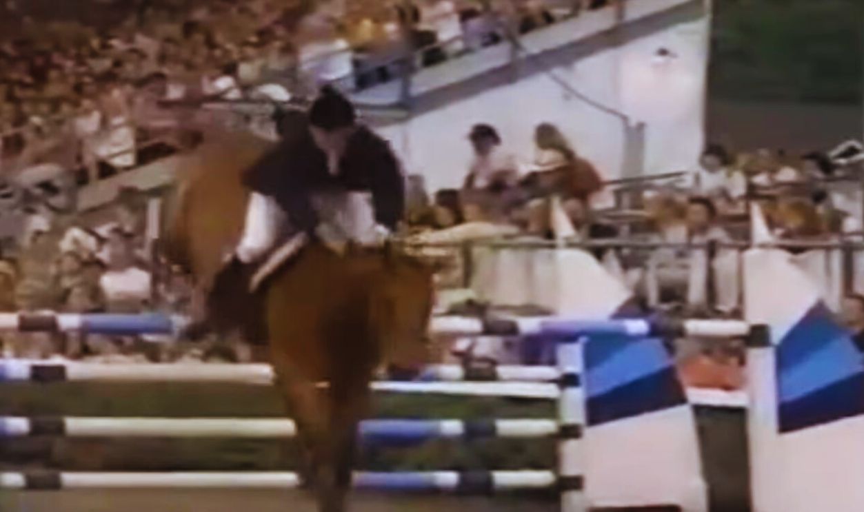 The Fall That Changed Everything In 1995