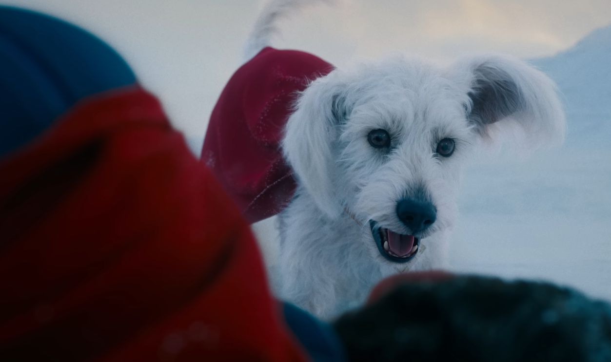 Krypto Adds Heart, Not Just Humor