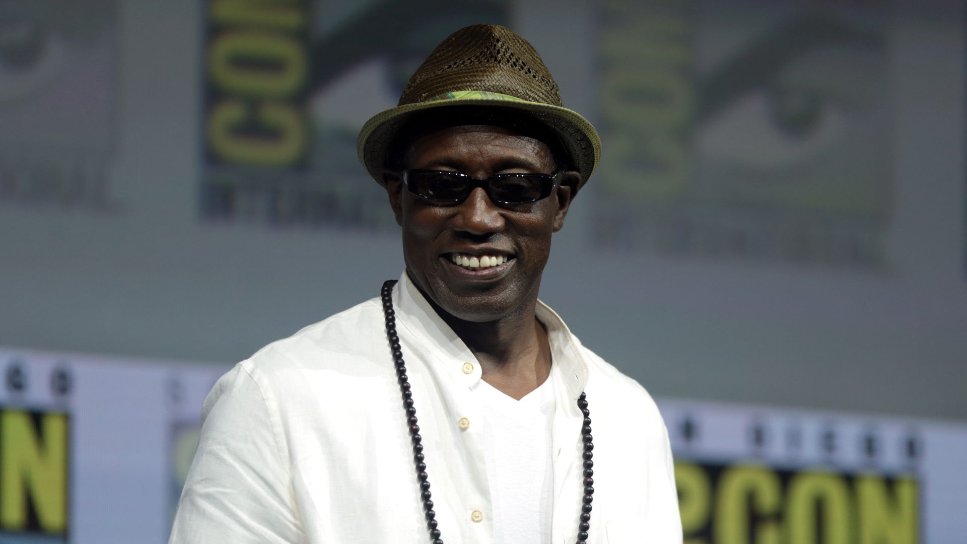 File:Wesley Snipes (41969117570).jpg