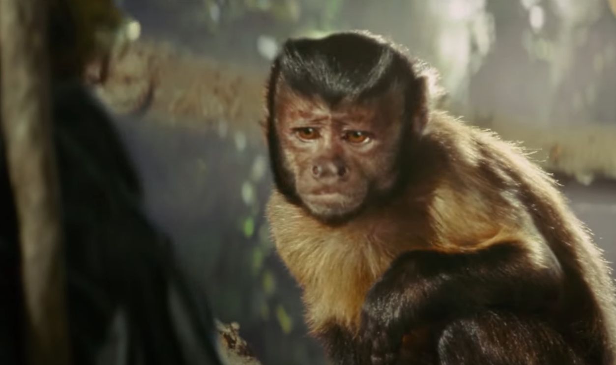 Indiana Jones And The Kingdom Of The Crystal Skull (2008)