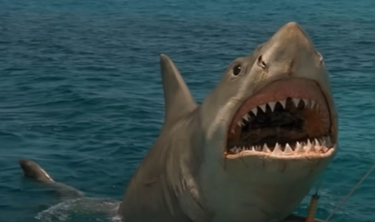 Jaws: The Revenge (1987)