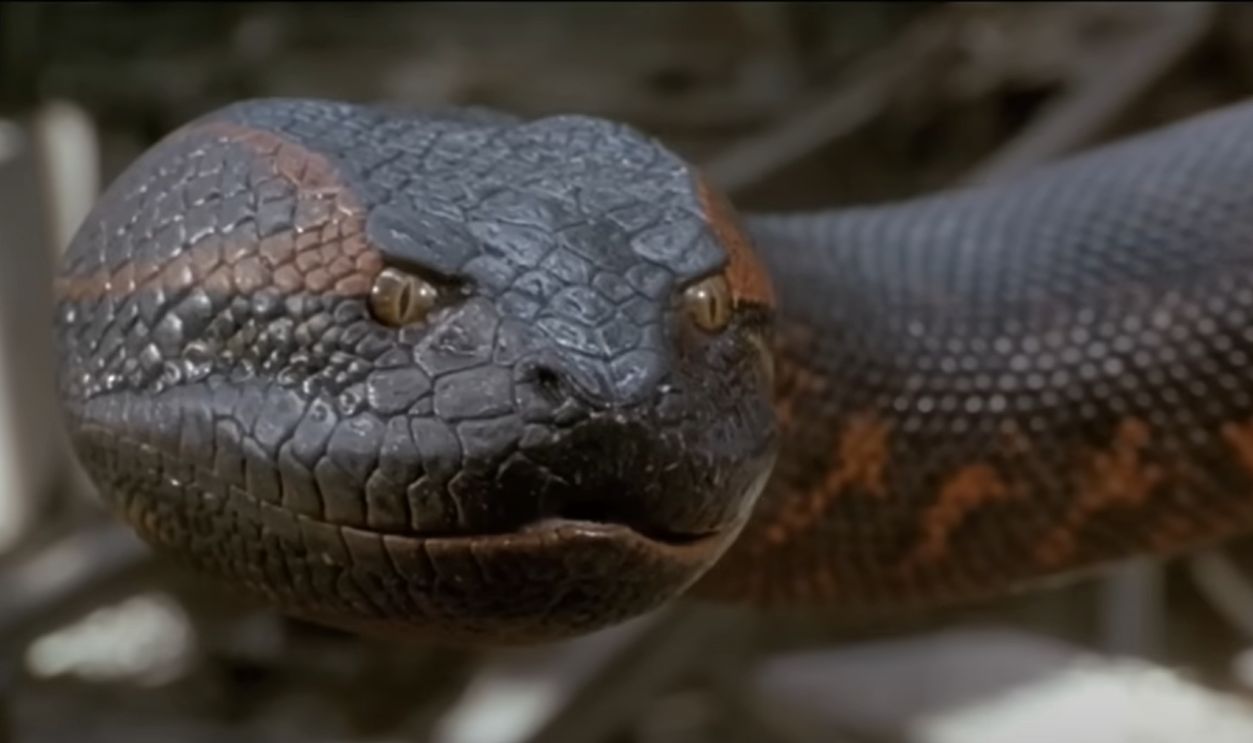 Anaconda (1997)
