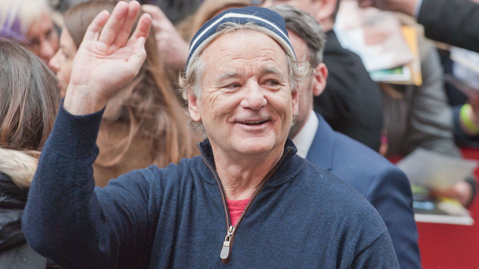 File:Bill Murray 2014 Berlinale.jpg