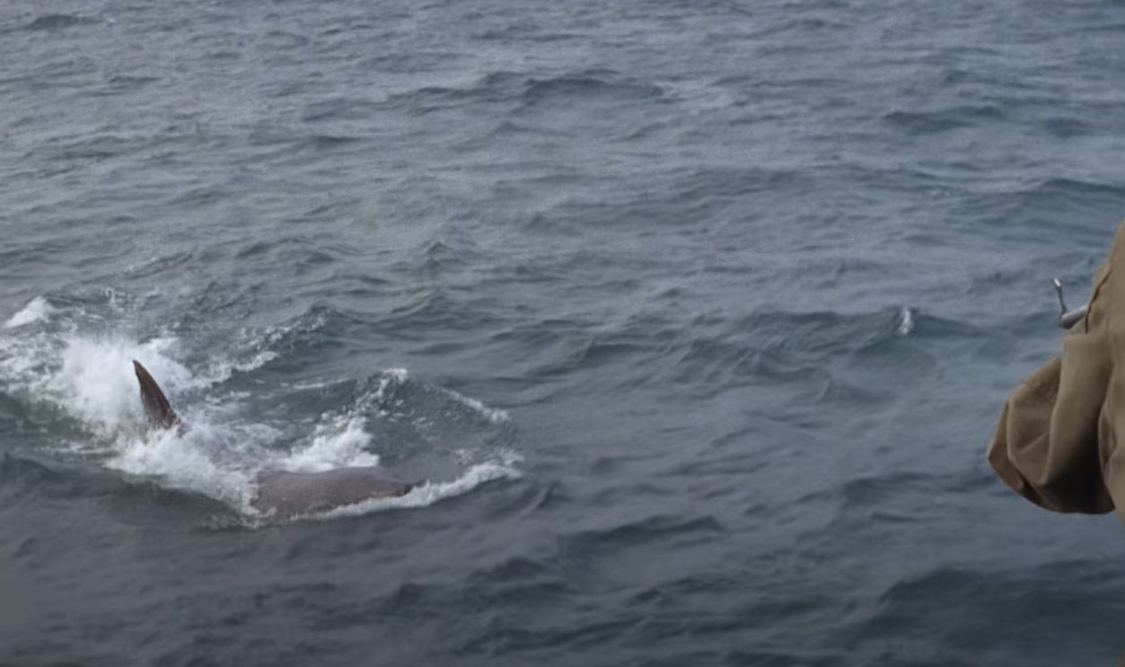 The Shark’s Full Reveal Comes With No Music