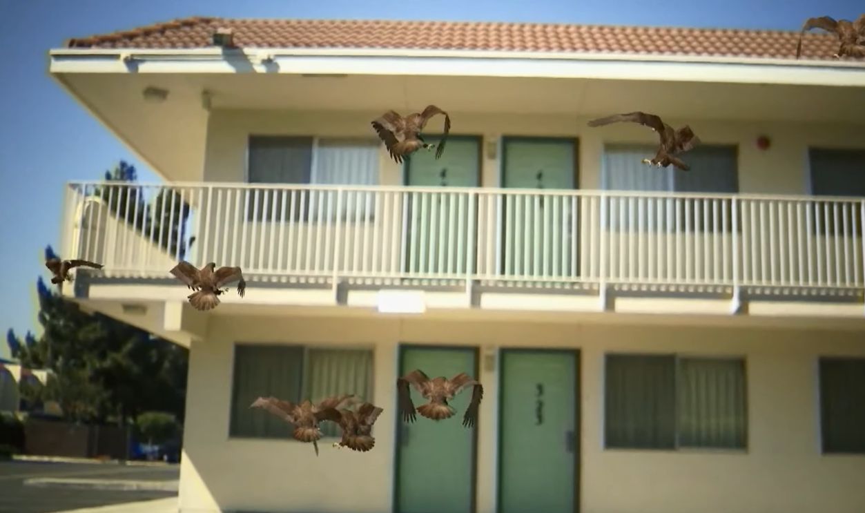 Birdemic: Shock And Terror (2010) 