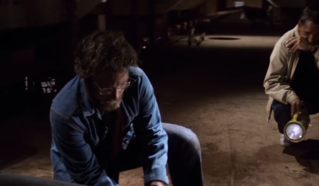 The Tiger Shark’s Stomach Contains A Louisiana License Plate