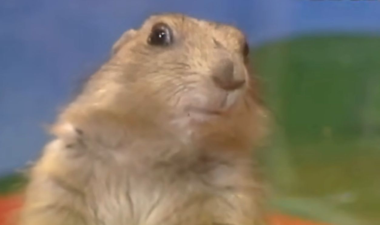 Screenshot from Hello! Morning (1998–2007)