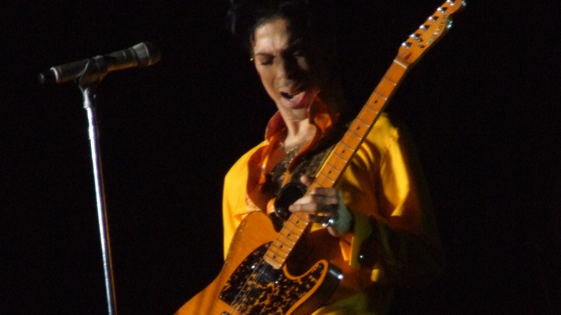 File:Prince with MadCat, Coachella 2008.jpg