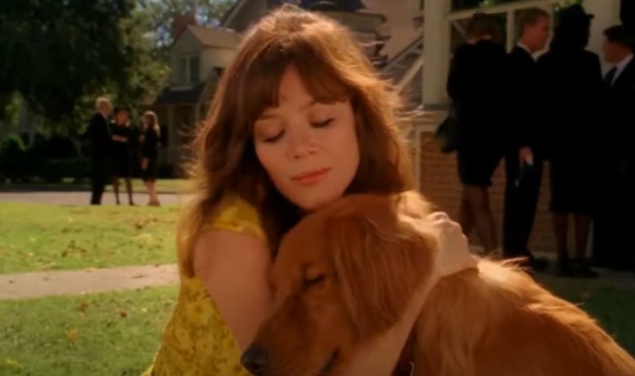 Screenshot from, Pushing Daisies (2007–2009)